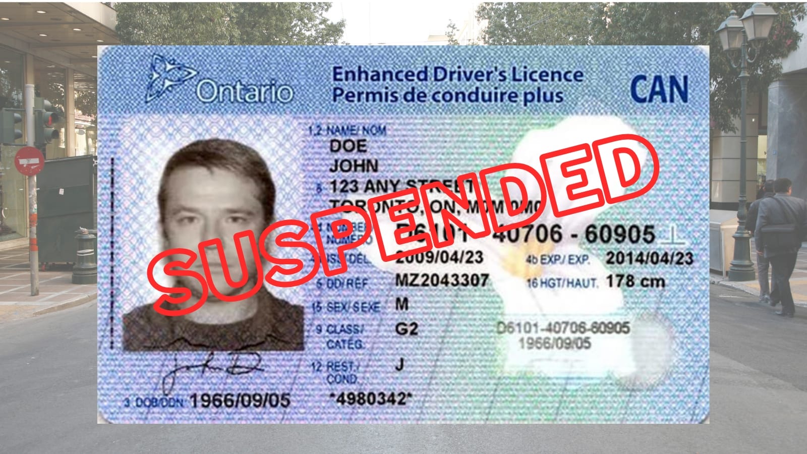 Drive While Suspended 4 Free consultation for suspended licence defence in Halton